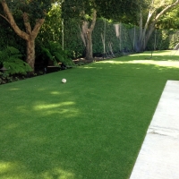 Artificial Grass Carpet Kapaa, Hawaii Landscaping Business