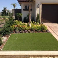 Artificial Grass Carpet Olowalu, Hawaii Gardeners, Front Yard Landscaping Ideas