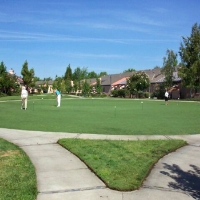 Artificial Grass Installation Haleiwa, Hawaii Indoor Putting Greens, Commercial Landscape