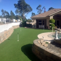 Artificial Grass Pahoa, Hawaii Backyard Deck Ideas, Backyard Landscaping