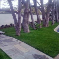 Artificial Grass Wailua, Hawaii Lawn And Landscape, Front Yard Design