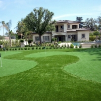 Artificial Lawn Kahului, Hawaii Backyard Playground, Small Front Yard Landscaping