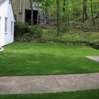 Artificial Turf Cost Fern Acres, Hawaii Home And Garden, Front Yard Design