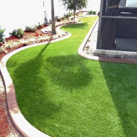 Artificial Turf Kapaau, Hawaii Landscape Photos, Backyard Designs