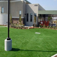 Artificial Turf Koloa, Hawaii Landscape Photos, Commercial Landscape