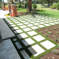 Best Artificial Grass Halaula, Hawaii Backyard Playground, Small Backyard Ideas