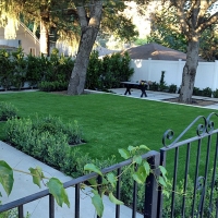 Fake Grass Carpet Waialua, Hawaii Landscaping, Front Yard Landscape Ideas