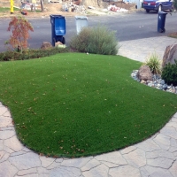 Fake Grass Carpet Waiohinu, Hawaii Paver Patio