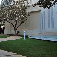 Fake Grass Carpet Waipio, Hawaii City Landscape, Front Yard