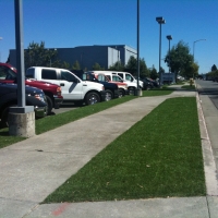 Fake Grass Hanamaulu, Hawaii Landscaping, Commercial Landscape