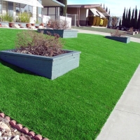 Fake Grass Hawi, Hawaii Rooftop, Front Yard Design