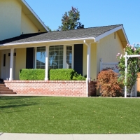 Fake Grass Kahului, Hawaii Backyard Deck Ideas, Front Yard