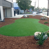 Fake Turf Olowalu, Hawaii Garden Ideas, Commercial Landscape