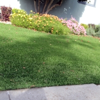 Fake Turf Waipio, Hawaii Landscape Design, Small Front Yard Landscaping