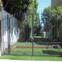 Grass Carpet Hawaiian Paradise Park, Hawaii Lawn And Landscape, Front Yard Ideas