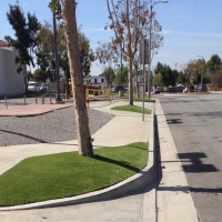 Grass Carpet Launiupoko, Hawaii Landscape Ideas, Commercial Landscape