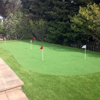 Grass Carpet Paukaa, Hawaii Putting Green Grass, Backyard Landscaping Ideas