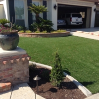 Grass Turf Honolulu, Hawaii Design Ideas, Front Yard Landscaping Ideas