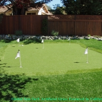 Grass Turf Kihei, Hawaii Diy Putting Green, Backyard Landscaping