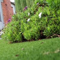 How To Install Artificial Grass Ahuimanu, Hawaii Landscape Ideas, Front Yard Landscape Ideas