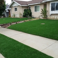 Outdoor Carpet Wheeler Air Force Base, Hawaii Landscape Ideas, Front Yard