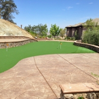 Plastic Grass Ewa Gentry, Hawaii Indoor Putting Greens, Backyard Ideas