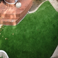 Plastic Grass Whitmore Village, Hawaii Rooftop, Small Backyard Ideas