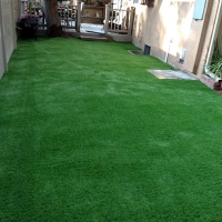 Synthetic Grass Cost Kailua-Kona, Hawaii Roof Top, Backyard Landscape Ideas