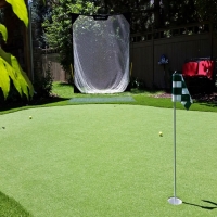 Synthetic Grass Waipio Acres, Hawaii Landscaping, Backyard Design