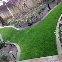 Synthetic Lawn Hilo, Hawaii Home And Garden, Backyard