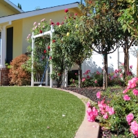 Synthetic Turf Hana, Hawaii Roof Top, Small Front Yard Landscaping