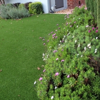 Synthetic Turf Kilauea, Hawaii Backyard Playground, Front Yard Landscaping Ideas