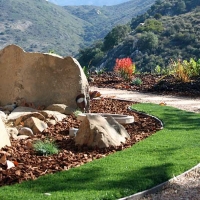 Synthetic Turf Papaikou, Hawaii Home And Garden, Front Yard Landscape Ideas