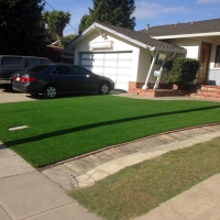 Synthetic Turf Supplier Ahuimanu, Hawaii Gardeners, Front Yard Landscaping