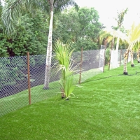 Synthetic Turf Supplier Wheeler Air Force Base, Hawaii Landscaping, Beautiful Backyards