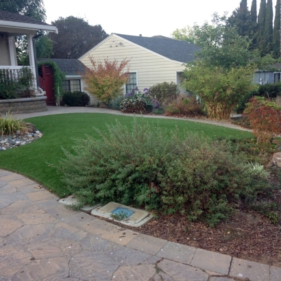 Artificial Grass Carpet Honokaa, Hawaii Gardeners, Front Yard