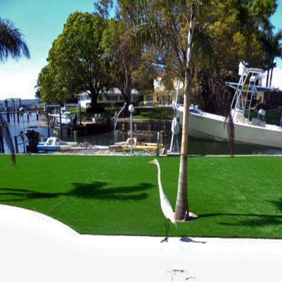 Artificial Grass Installation Lahaina, Hawaii Roof Top, Backyard Landscape Ideas