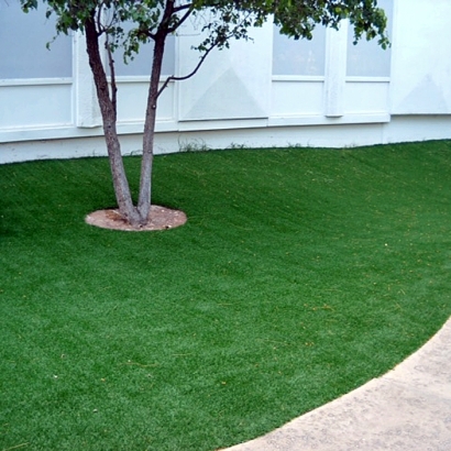 Artificial Grass Kekaha, Hawaii Backyard Playground, Commercial Landscape