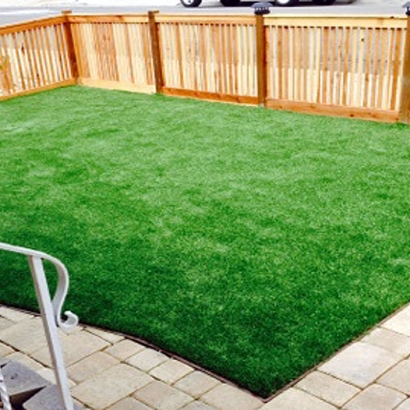 Artificial Grass Waipio Acres, Hawaii Landscaping, Backyard Landscaping Ideas