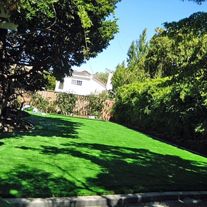 Artificial Lawn Captain Cook, Hawaii Roof Top, Backyards