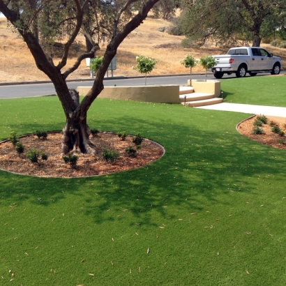 Artificial Turf Cost Lahaina, Hawaii Roof Top, Front Yard