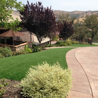 Artificial Turf Installation Aiea, Hawaii Home And Garden, Front Yard