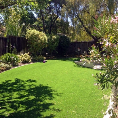 Artificial Turf Installation Kapaau, Hawaii Landscaping, Backyard Garden Ideas