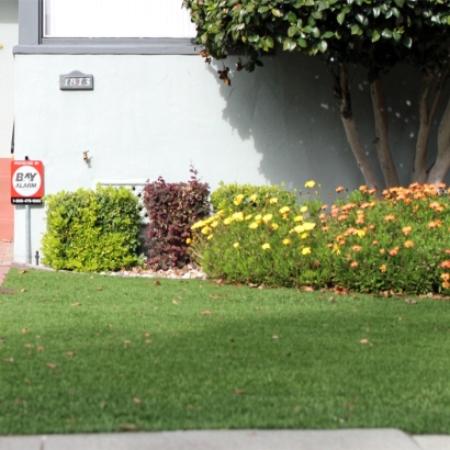 Artificial Turf Installation Waihee-Waiehu, Hawaii Lawn And Garden, Front Yard Landscaping