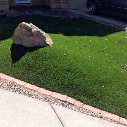 Artificial Turf Nanakuli, Hawaii Home And Garden