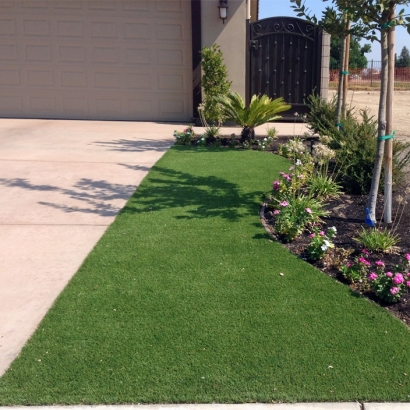 Artificial Turf Waiohinu, Hawaii Paver Patio, Front Yard Landscaping