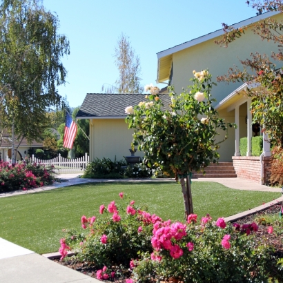 Best Artificial Grass Launiupoko, Hawaii Lawn And Landscape, Front Yard Design