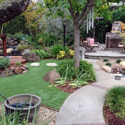 Best Artificial Grass Laupahoehoe, Hawaii Design Ideas, Beautiful Backyards