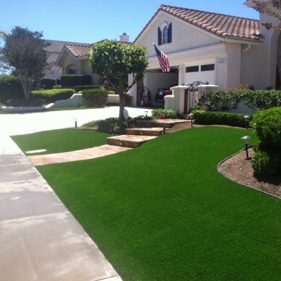 Best Artificial Grass Lihue, Hawaii Gardeners, Front Yard Landscape Ideas