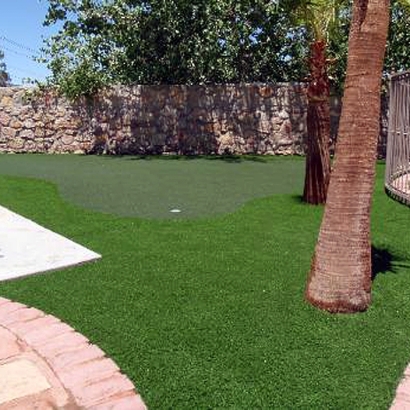 Best Artificial Grass Paia, Hawaii Rooftop, Backyard Landscaping Ideas